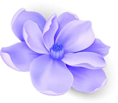 عکس بک گراند گل