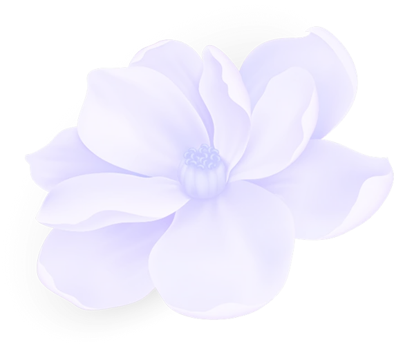 عکس بک گراند گل